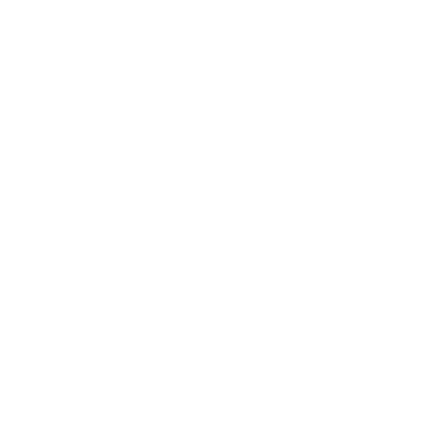 Longhorn Logo